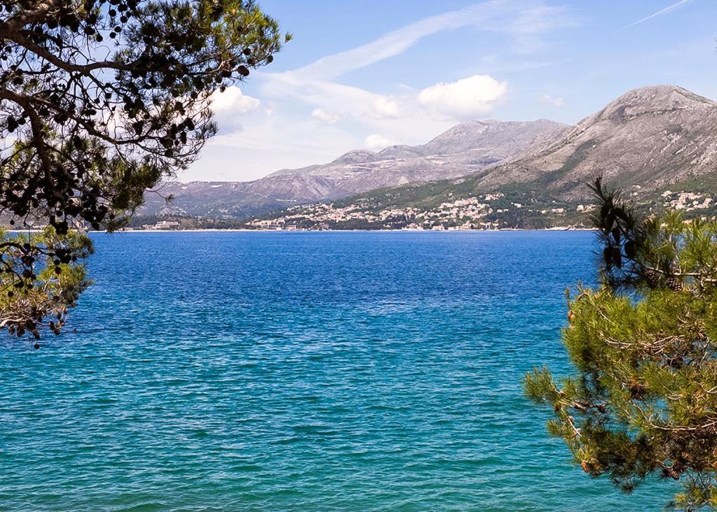 Cavtat - Panoramic Sea View Lejlighed Eksteriør billede