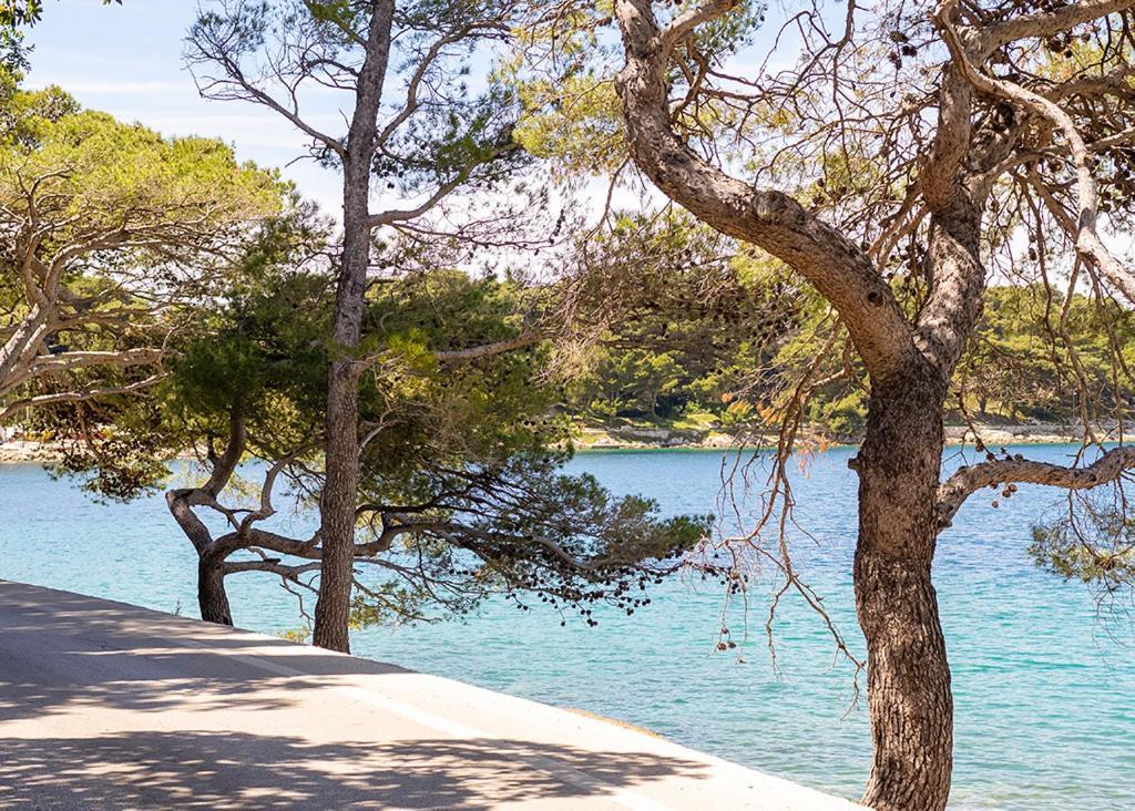 Cavtat - Panoramic Sea View Lejlighed Eksteriør billede